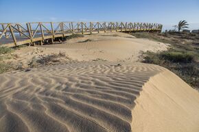Pasarela hasta la playa.jpg