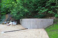 Spring in Sparrow Hills (at the foot of over-sliding ledge) 03.jpg