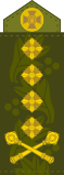 Погон генерала ЗСУ (2020).svg