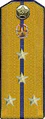 погоны 1956