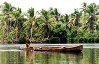 Dugout canoe Rennell.jpg
