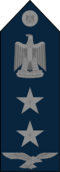 Group Captain - Egyptian Air Force rank.png