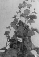 Schiele - work-p145.jpg