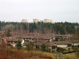 Uittamo-003.jpg