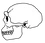 Череп человека прямоходящего (Homo erectus).png