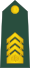 07-Slovenian Army-MSG.svg