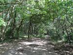 Bentley Priory Stanburn Wood.JPG