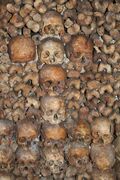 Catacombs of Paris 07.jpg