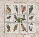 Owls of Ukraine.jpg