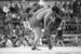 RIAN archive 788965 Magomedgasan Abushev vs. Augustin Atasi.jpg