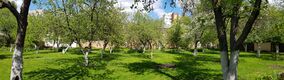 Ryazan - Muzey-usadba IP Pavlova - Sad - (20230506 122126).jpg