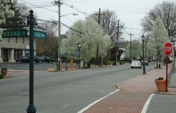 Street scene Amboy Avenue in Edison NJ.jpg