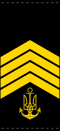 UANs shoulder mark 05.svg