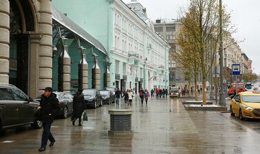 Зелёные липы подвозили на 16-метровых автопоездах, а разгрузка и посадка осуществлялась автокранами. Всего в работах было задействовано 250 человек и 90 единиц техники.[31]