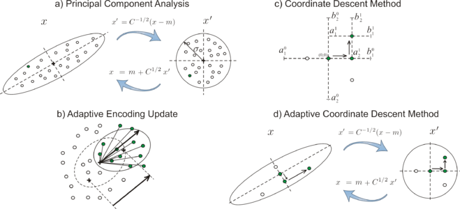 Adaptive Coordinate Descent illustration.png