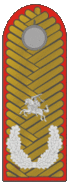 Belarus BKA 1944 parade - Hienieral zbroi (Maršal BNR).gif