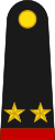 Mexico army OF4.svg