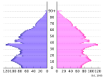 Population pyramid of Japan, 1985.svg