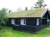Toit vegetal norvege.png