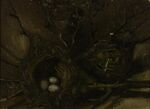 Vogelnesten - s0071V1962r - Van Gogh Museum.jpg
