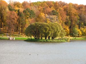 Верхний-пруд-05.jpg