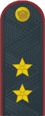 Генерал лейтенант ФСИН №.png