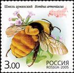 2005. Марка России stamp hi12612324614b2ce14dca1a2.jpg