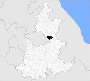 Libres en Puebla.svg