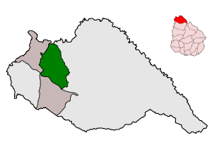 MunicipiodeTomasGomensoro.svg