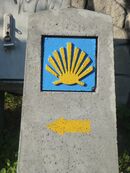 Muszla Jakubowa w Sandomierzu.JPG