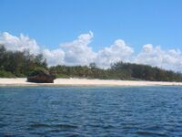 Watamu Marine Park.JPG