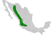 Campephilus imperialis map.svg