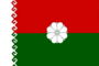 Flag of Paranginsky rayon (Mariy-El).png