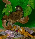 Ornimegalonyx oteroi.jpg