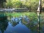Ponce De Leon SP02.jpg