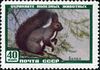 The Soviet Union 1959 CPA 2327 stamp (Red Squirrel).jpg