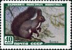 The Soviet Union 1959 CPA 2327 stamp (Red Squirrel).jpg