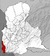 VE-S-rafaelurdaneta.png