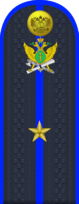 09.погон ФССП - младший лейнтенант.png