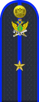 09.погон ФССП - младший лейнтенант.png