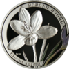 AM 1000 dram Ag 2011 Crocus b.png