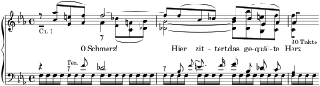 BWV 244 Incipit Nr. 25 O Schmerz.svg