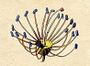 Ehret-Methodus Plantarum Sexualis-M.jpg
