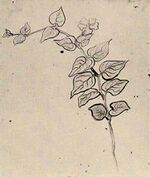 Van gogh branch with leaves auvers f1614 jh2060.jpg