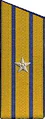 погоны 1956