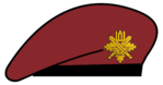 Berete KASP.png