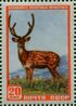The Soviet Union 1957 CPA 1989 stamp (Sika deer) (Yellowish background).jpg