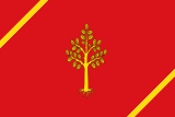 Флаг