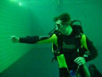 Diving signal danger.jpg