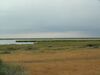 Korgalzhinskiy Nature Reserve.JPG